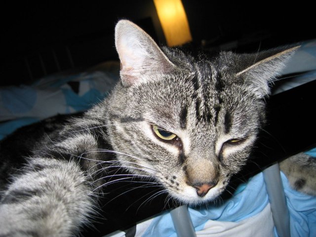 Владимир Походяев. Махнуть бы портвешка.