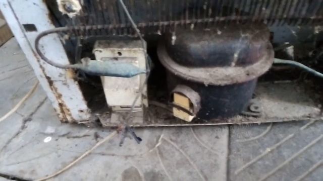 Ремонт холодильника Бирюса не включается.