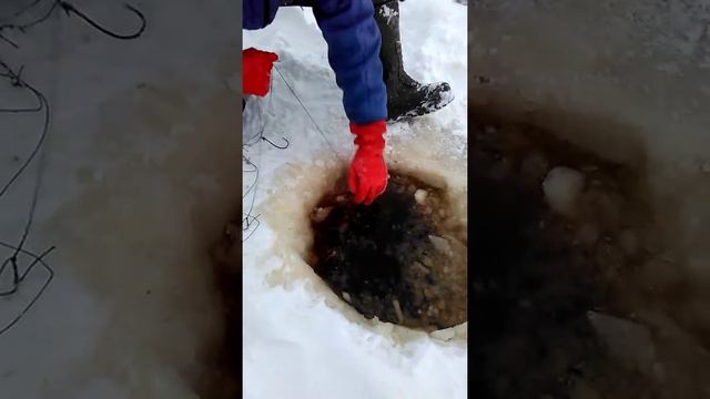 подлетка рыбалка зимой в якутии "охота и рыбалка"(сома)