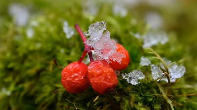 Уходит любовь