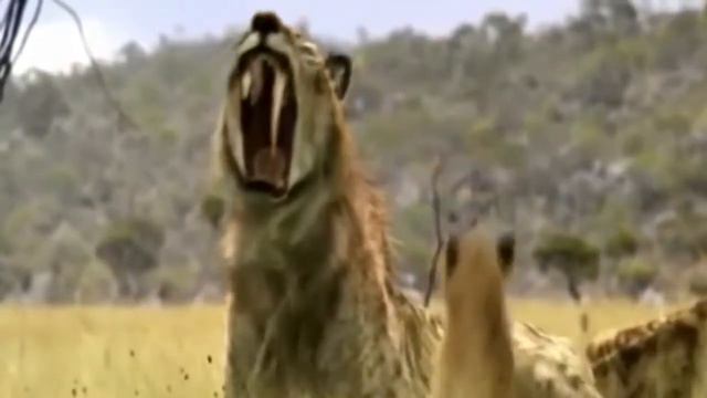5 НЕВЕРОЯТНЫХ ВЫМЕРШИХ ЧУДОВИЩ
